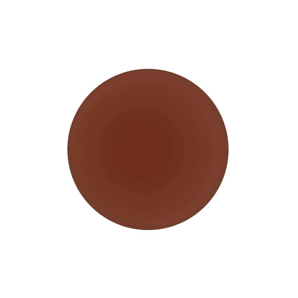 Saddle Brown - Breathable Vegan Halal Nail Polish - Inaya Beauty